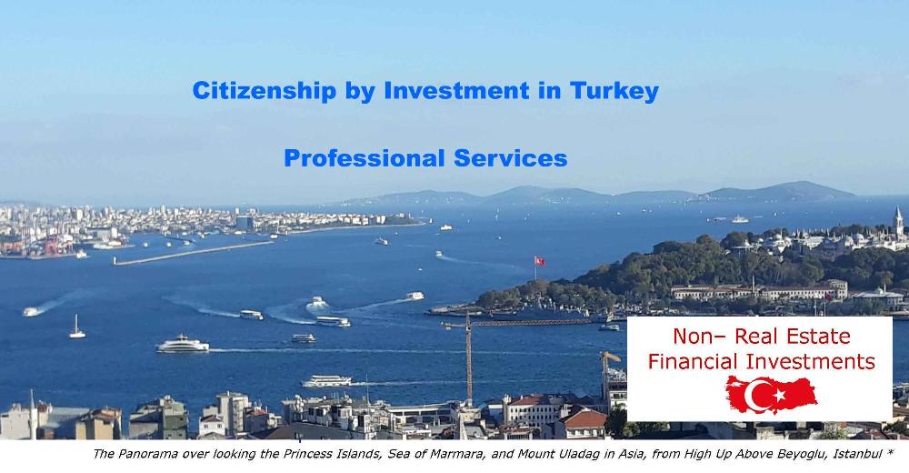 Turkey Citizenship by Investment CIP CBI- Professional Services for real Estate Investors and for Non-Real Estate Investors in Financial Products: Bank Deposits, Government Bonds, Venture Capital Funds...